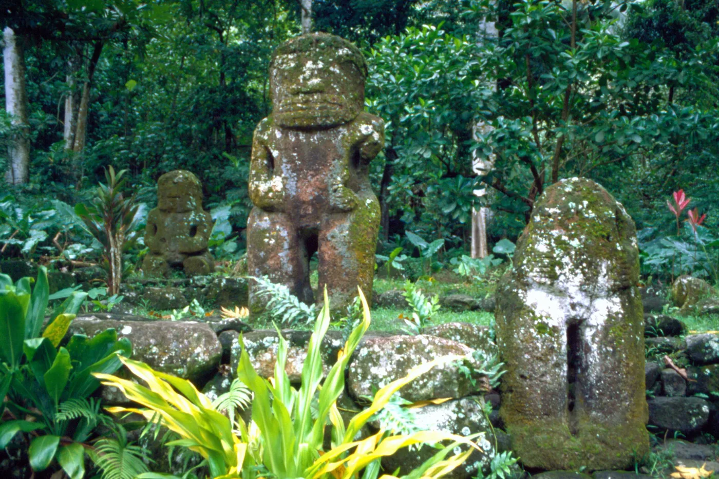 Three weathered stone tiki on Hiva Oa, including two complete figures and a headless torso, with hands positioned at their bellies.