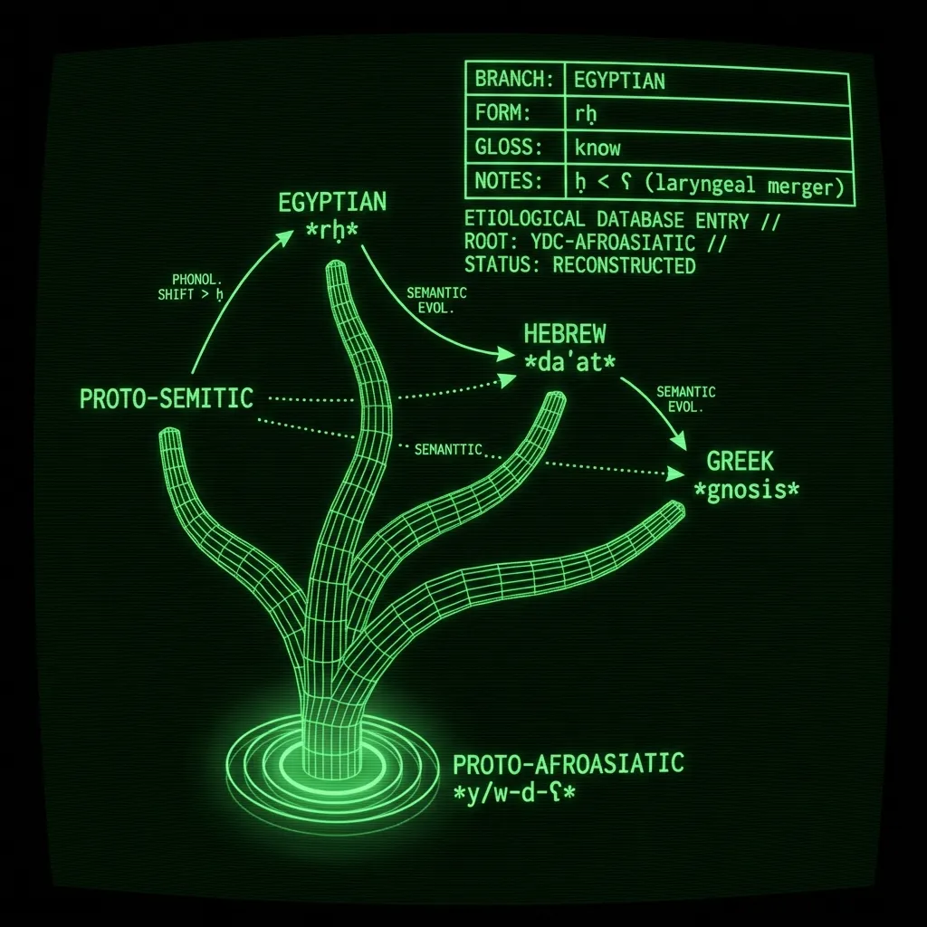 A complex wireframe diagram illustrating the etymological tree of 'knowledge'. The root 'PROTO-AFROASIATIC *y/w-d-ʕ*' pulses at the base, branching …